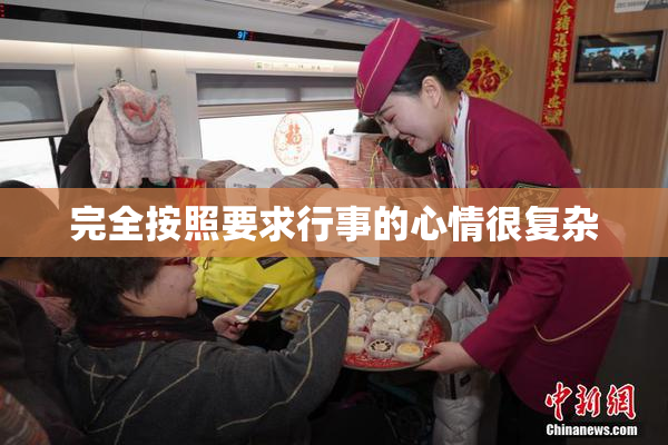 完全按照要求行事的心情很复杂
