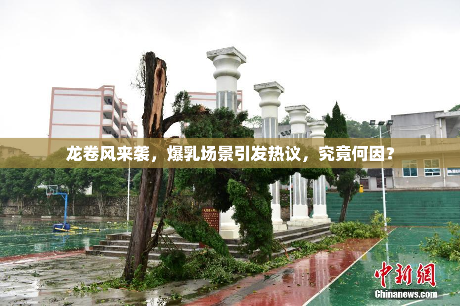 龙卷风来袭，爆乳场景引发热议，究竟何因？