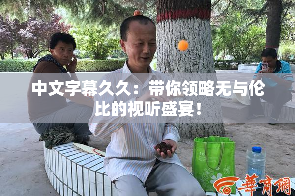 中文字幕久久：带你领略无与伦比的视听盛宴！