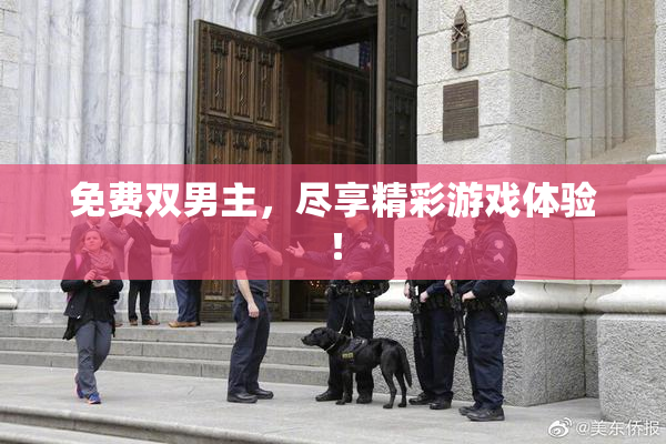 免费双男主，尽享精彩游戏体验！