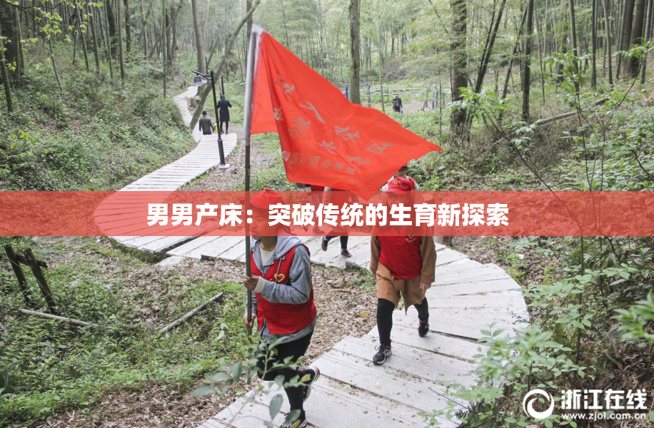 男男产床：突破传统的生育新探索