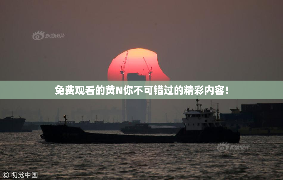 免费观看的黄Ν你不可错过的精彩内容！