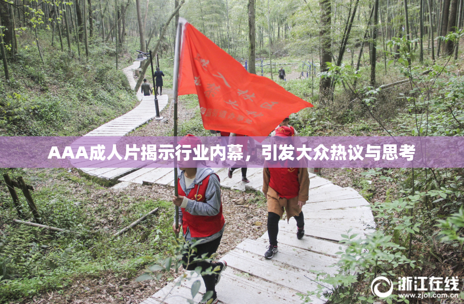 AAA成人片揭示行业内幕，引发大众热议与思考