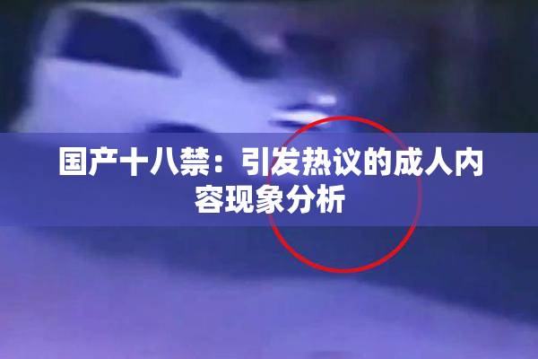 国产十八禁：引发热议的成人内容现象分析