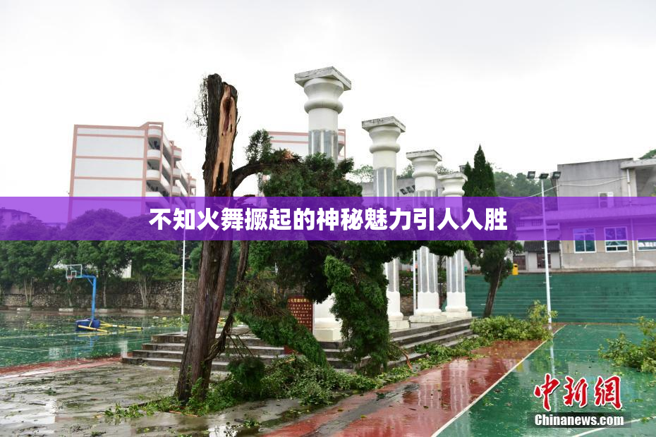 不知火舞撅起的神秘魅力引人入胜