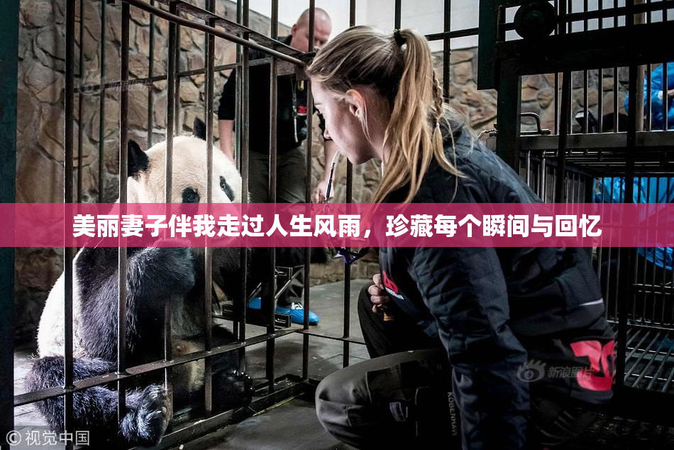 美丽妻子伴我走过人生风雨，珍藏每个瞬间与回忆