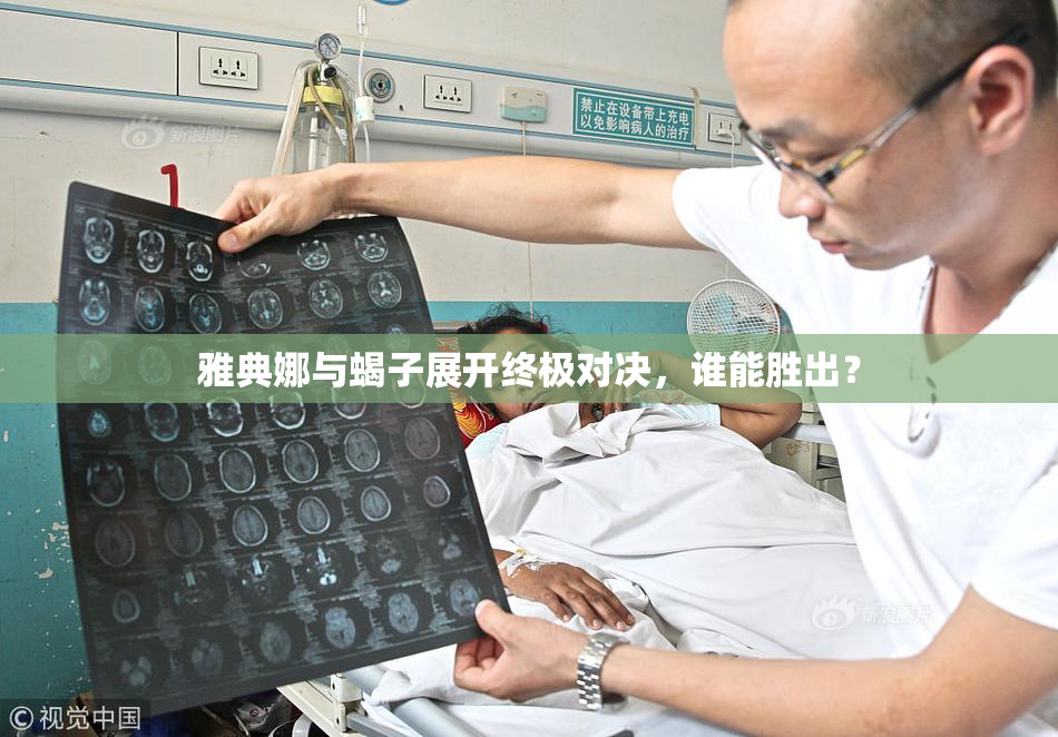 雅典娜与蝎子展开终极对决，谁能胜出？