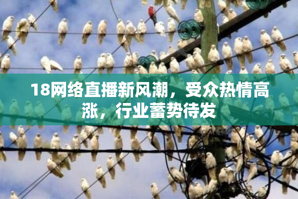 18网络直播新风潮，受众热情高涨，行业蓄势待发