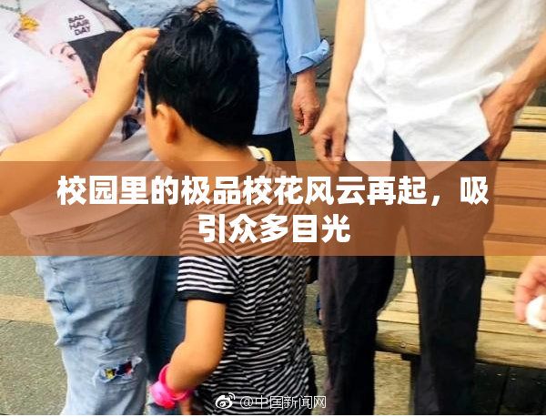 校园里的极品校花风云再起，吸引众多目光