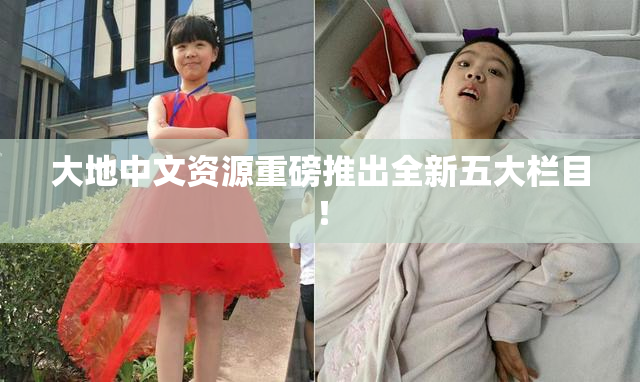 大地中文资源重磅推出全新五大栏目！
