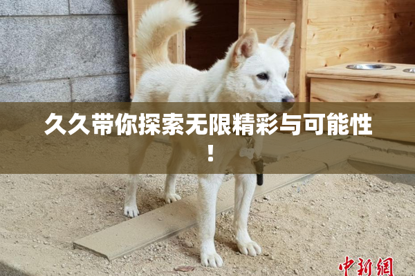 久久带你探索无限精彩与可能性！