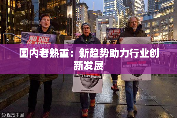 国内老熟重：新趋势助力行业创新发展
