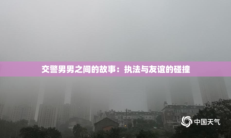交警男男之间的故事：执法与友谊的碰撞