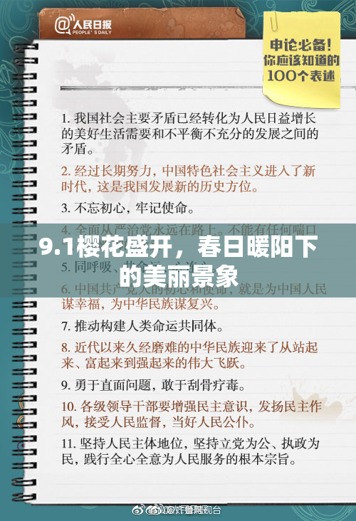9.1樱花盛开，春日暖阳下的美丽景象
