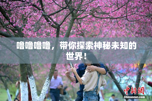 噜噜噜噜，带你探索神秘未知的世界！