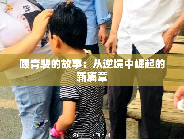 顾青裴的故事：从逆境中崛起的新篇章
