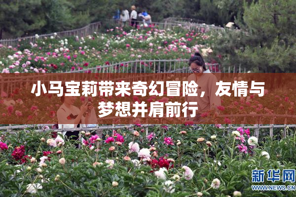 小马宝莉带来奇幻冒险，友情与梦想并肩前行