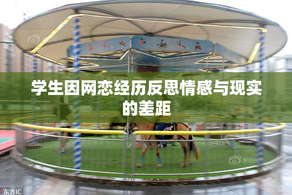 学生因网恋经历反思情感与现实的差距