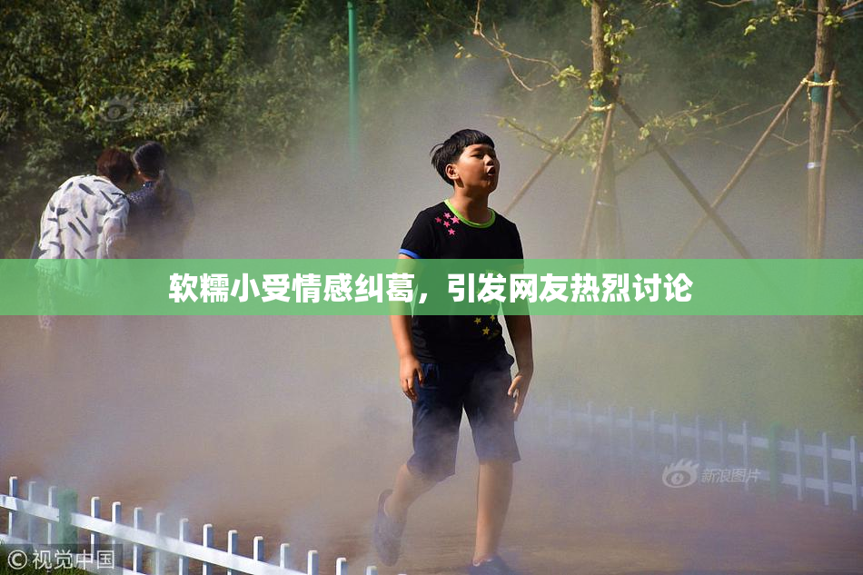软糯小受情感纠葛，引发网友热烈讨论