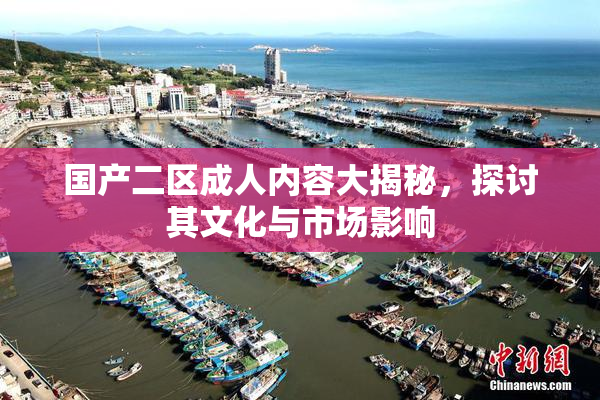 国产二区成人内容大揭秘，探讨其文化与市场影响