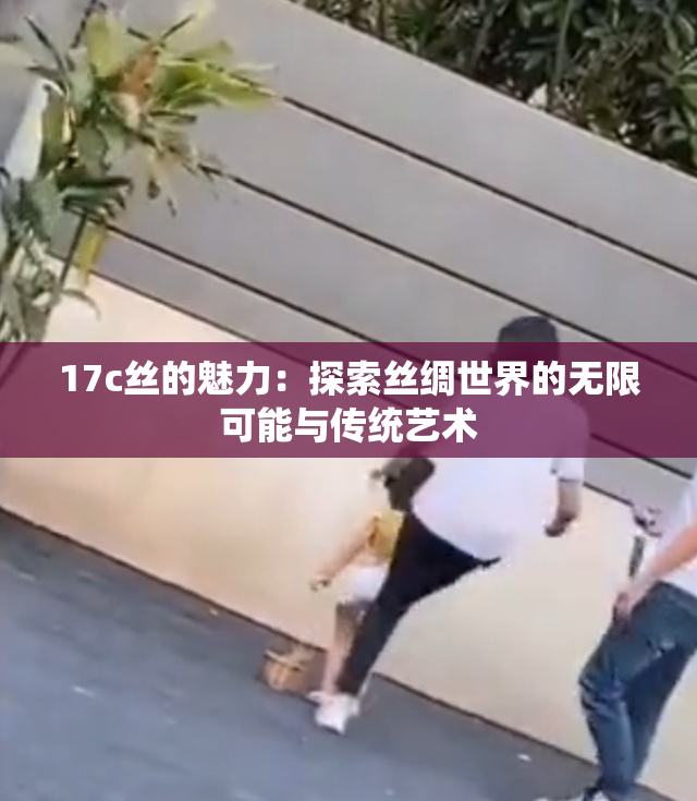 17c丝的魅力：探索丝绸世界的无限可能与传统艺术