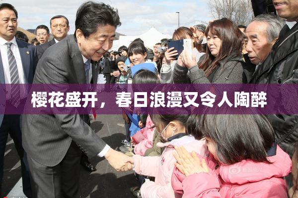樱花盛开，春日浪漫又令人陶醉