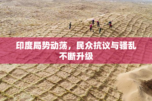 印度局势动荡，民众抗议与骚乱不断升级