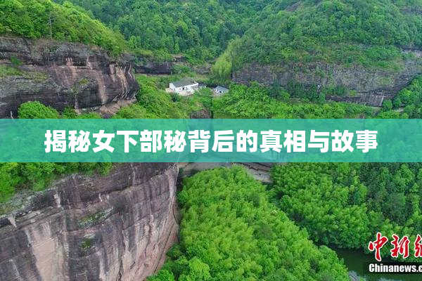 揭秘女下部秘背后的真相与故事