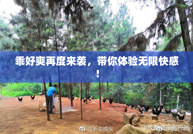 乖好爽再度来袭，带你体验无限快感！