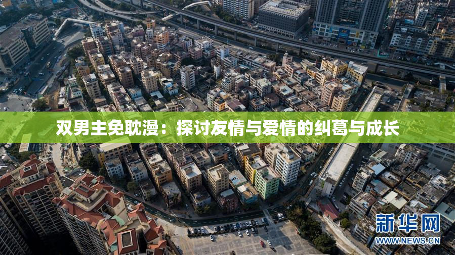 双男主免耽漫：探讨友情与爱情的纠葛与成长