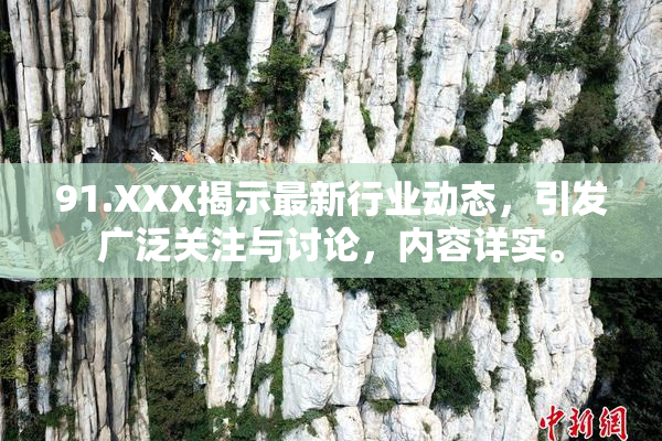 91.XXX揭示最新行业动态，引发广泛关注与讨论，内容详实。