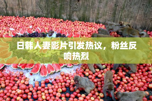 日韩人妻影片引发热议，粉丝反响热烈