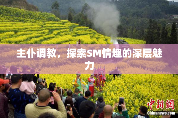 主仆调教，探索SM情趣的深层魅力