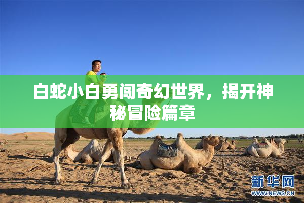 白蛇小白勇闯奇幻世界，揭开神秘冒险篇章