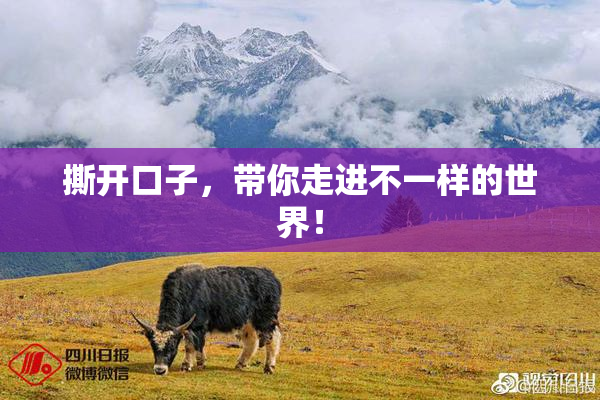 撕开口子，带你走进不一样的世界！