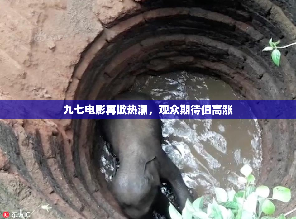九七电影再掀热潮，观众期待值高涨