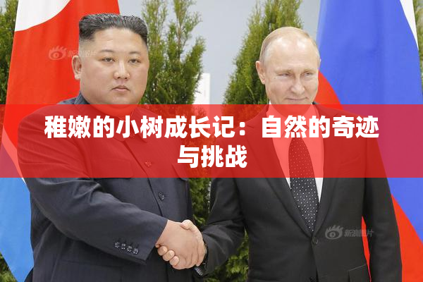 稚嫩的小树成长记：自然的奇迹与挑战