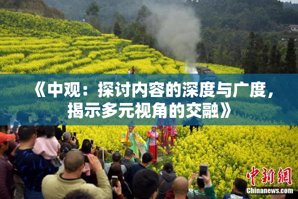 《中观：探讨内容的深度与广度，揭示多元视角的交融》