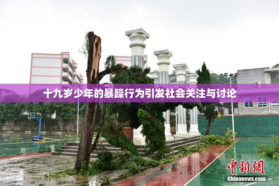 十九岁少年的暴躁行为引发社会关注与讨论