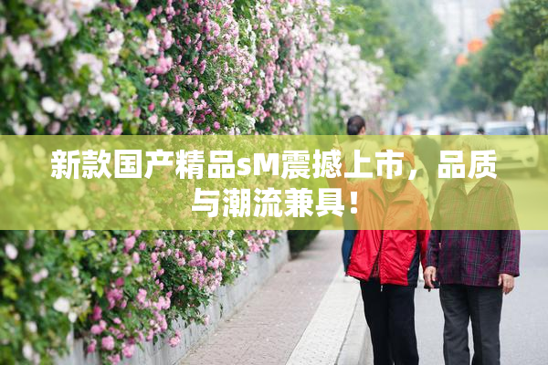 新款国产精品sM震撼上市，品质与潮流兼具！