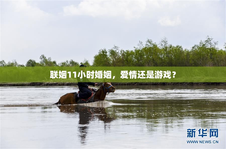 联姻11小时婚姻，爱情还是游戏？