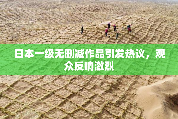 日本一级无删减作品引发热议，观众反响激烈