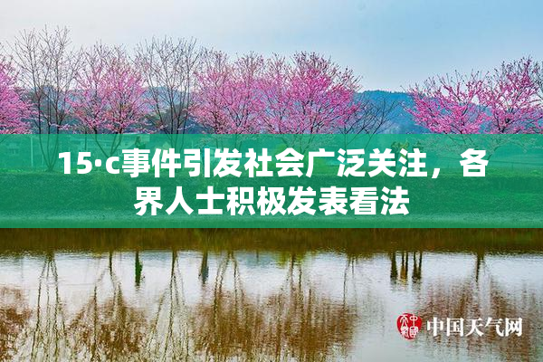 15·c事件引发社会广泛关注，各界人士积极发表看法