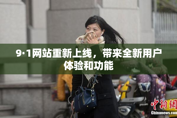 9·1网站重新上线，带来全新用户体验和功能