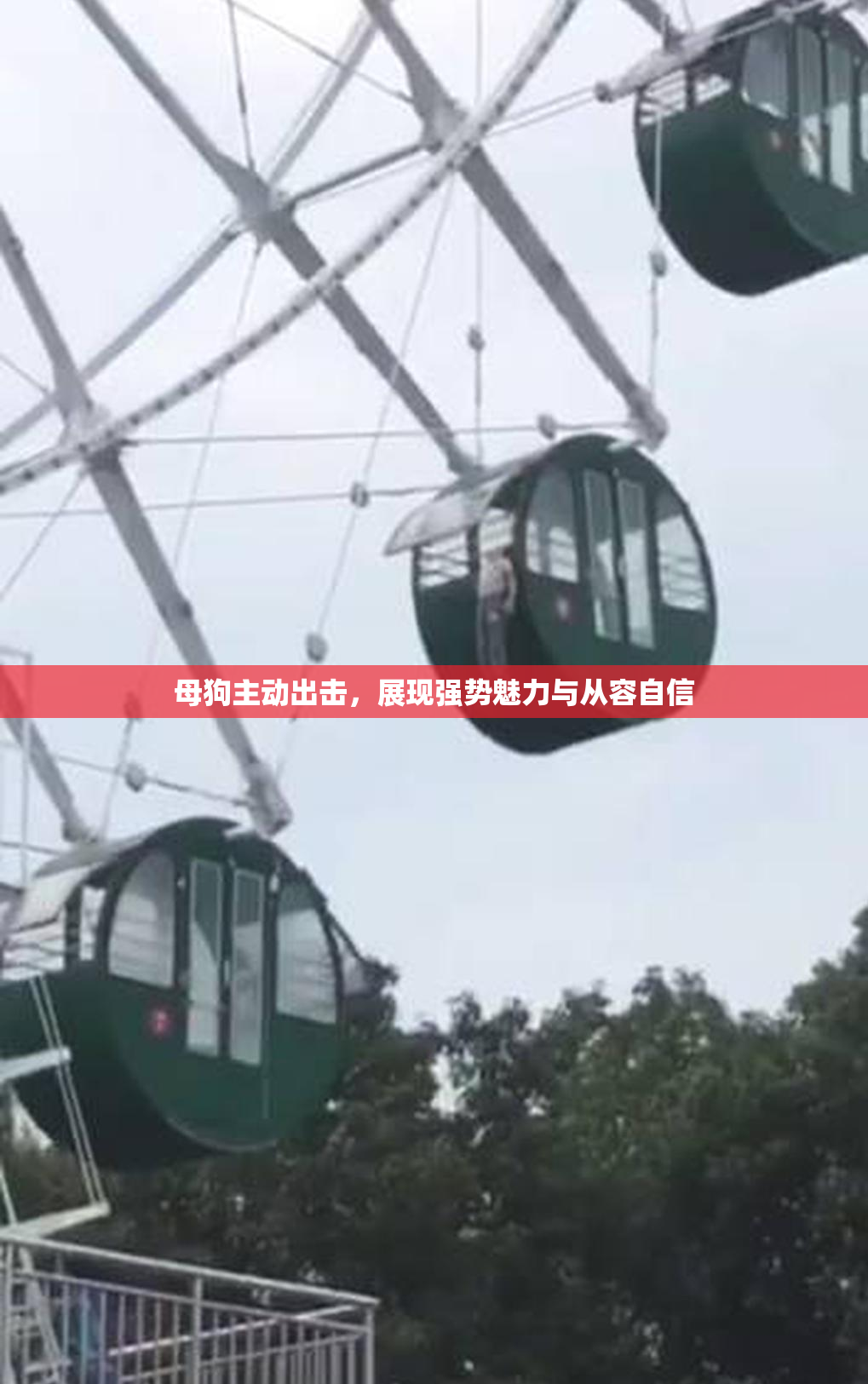 母狗主动出击，展现强势魅力与从容自信