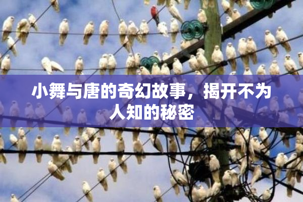 小舞与唐的奇幻故事，揭开不为人知的秘密