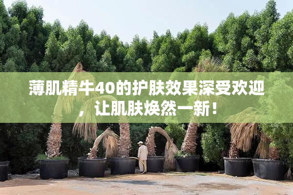 薄肌精牛40的护肤效果深受欢迎，让肌肤焕然一新！