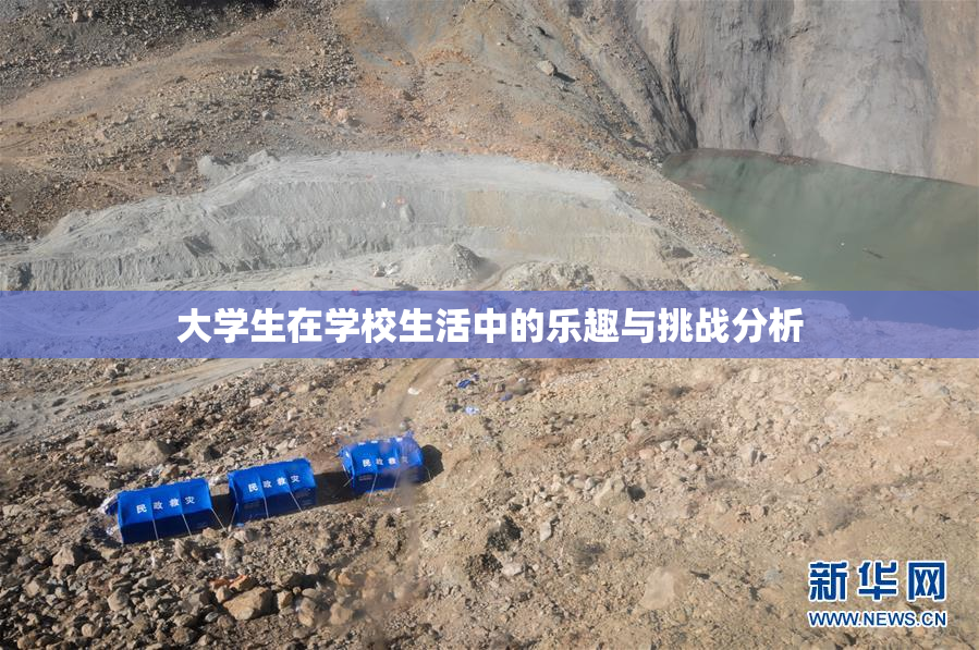 大学生在学校生活中的乐趣与挑战分析