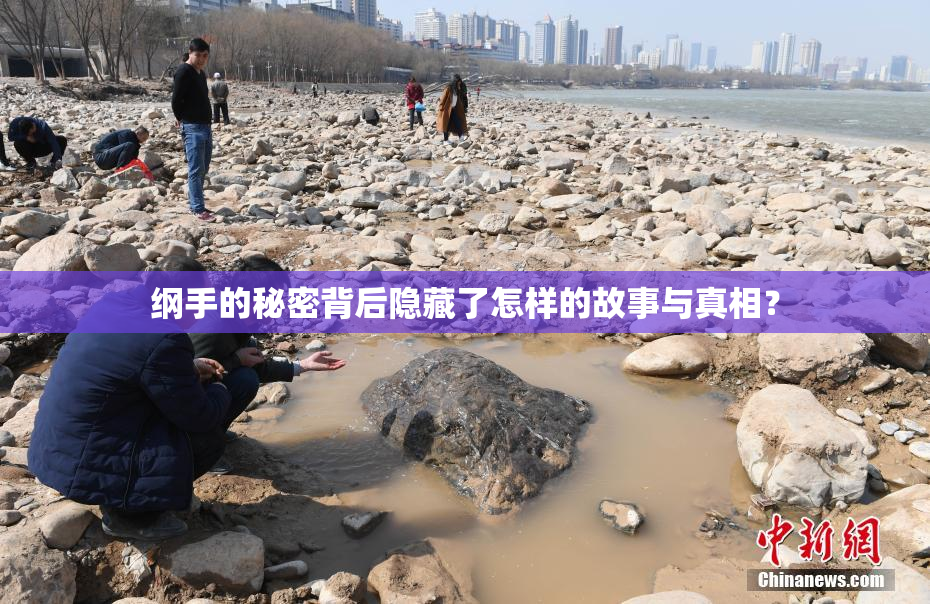 纲手的秘密背后隐藏了怎样的故事与真相？