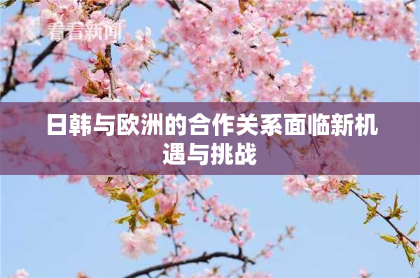 日韩与欧洲的合作关系面临新机遇与挑战